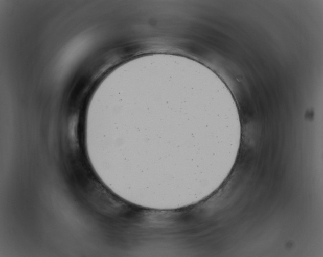 X0000101181150200807181442