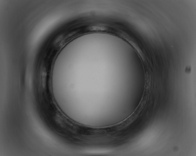 X0000101181151200807181442