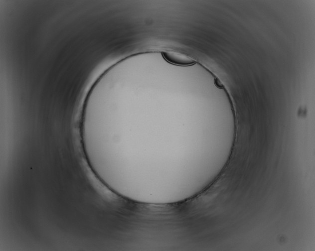 X0000101181152200807181442