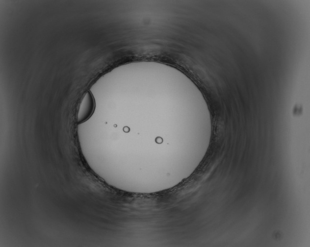 X0000101181153200807181441