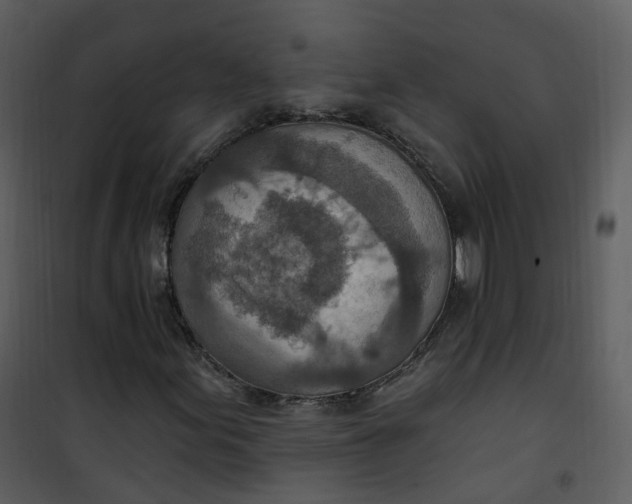 X0000101181155200807181441