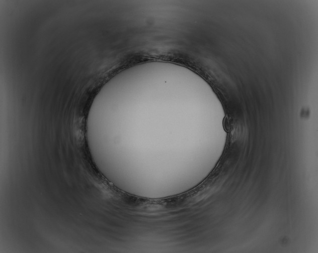 X0000101181156200807181441