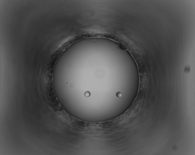 X0000101181157200807181441