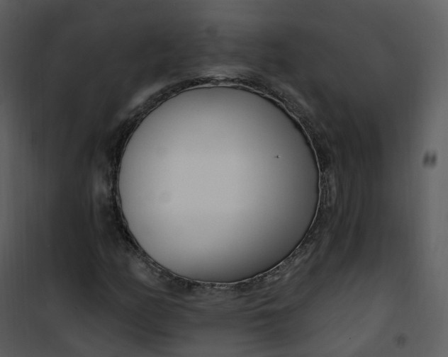 X0000101181158200807181441