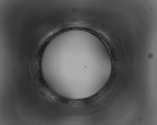 X0000101181159200807181441