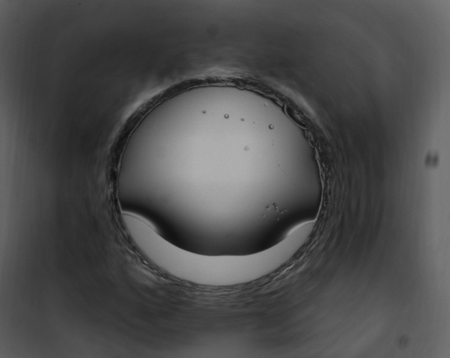 X0000101181160200807181441