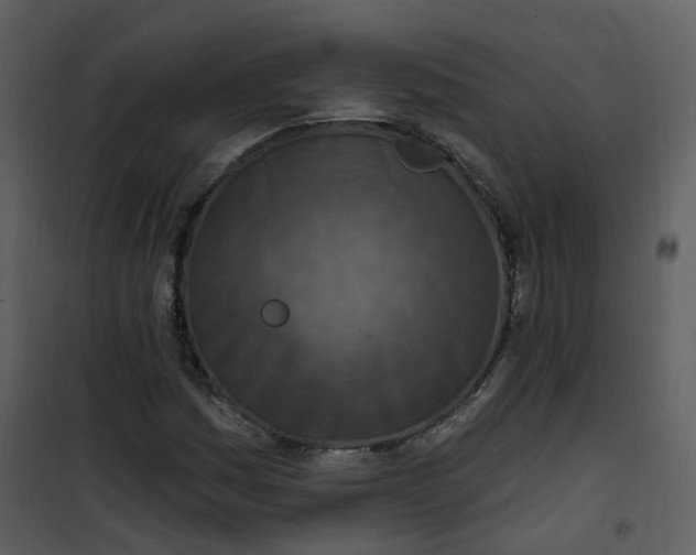 X0000101181161200807181441