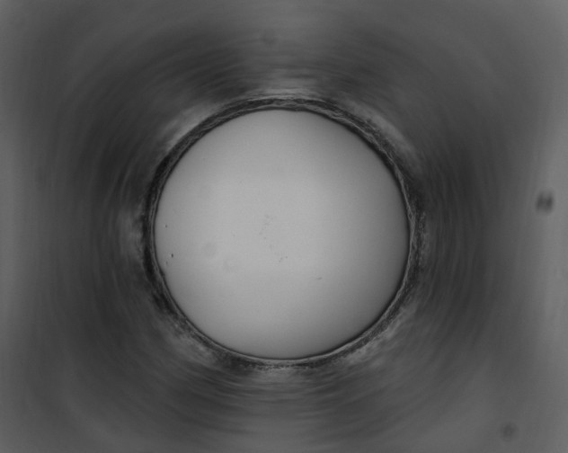 X0000101181162200807181441