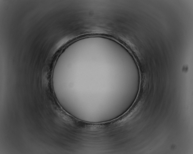 X0000101181163200807181441