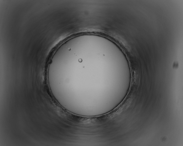 X0000101181165200807181441