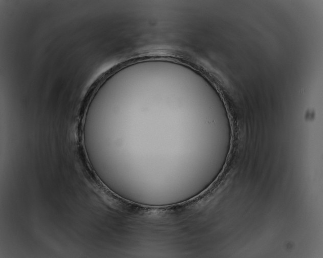 X0000101181166200807181441