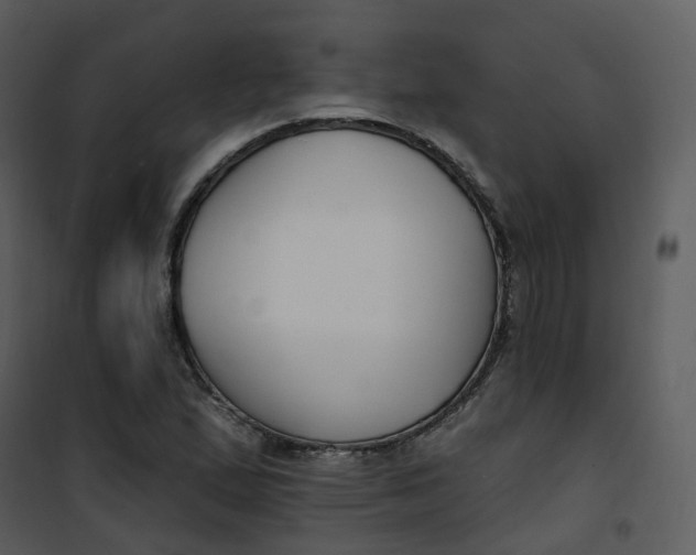 X0000101181167200807181441