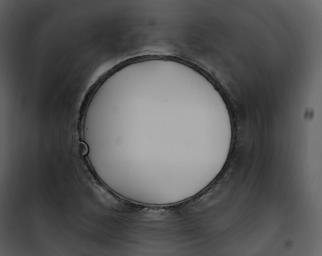 X0000101181168200807181441