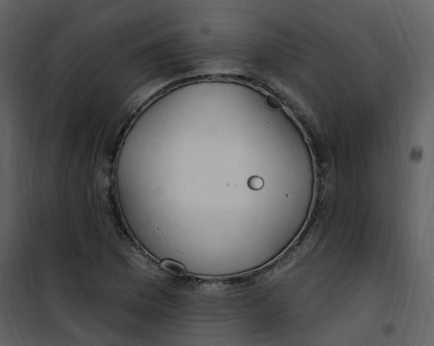 X0000101181169200807181441