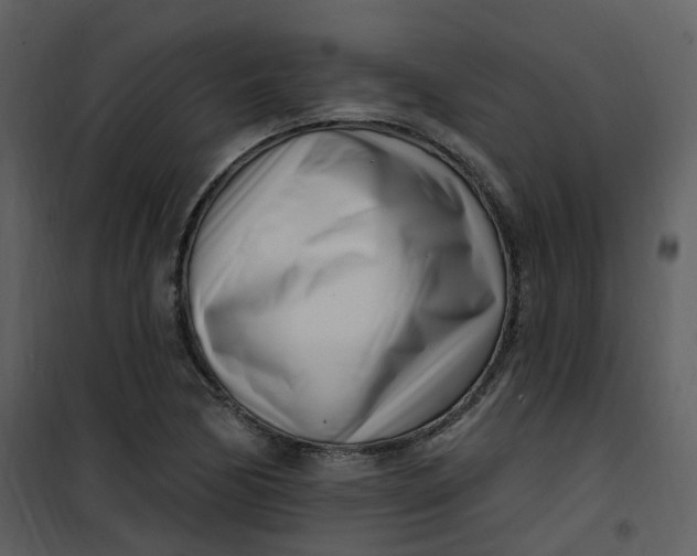 X0000101181170200807181441