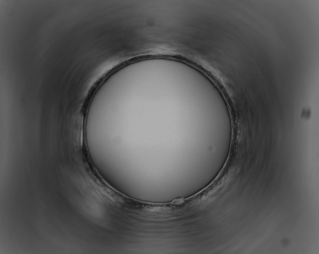 X0000101181171200807181441