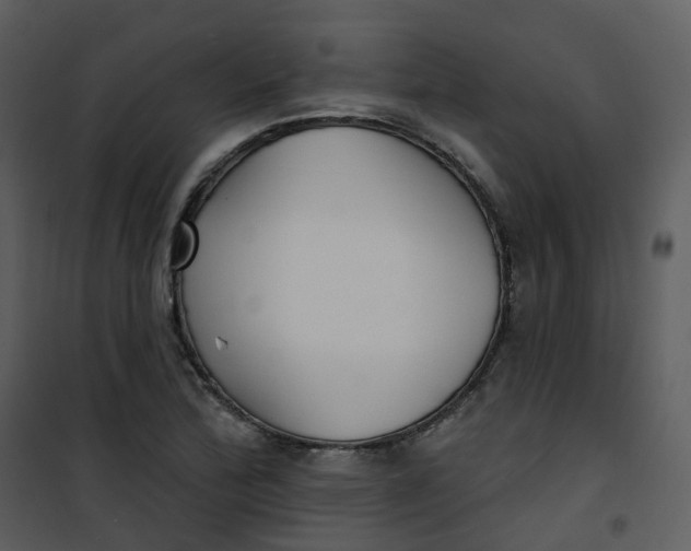 X0000101181172200807181441