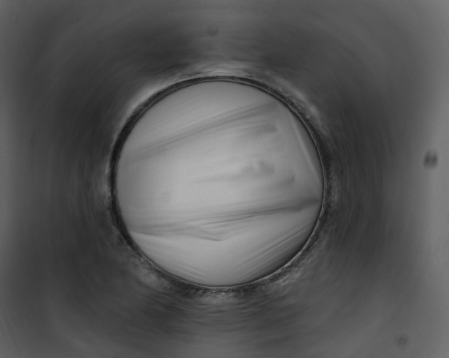 X0000101181174200807181441