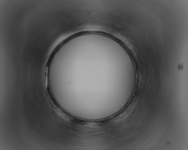 X0000101181175200807181441