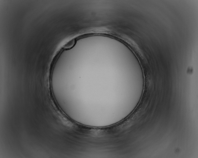 X0000101181176200807181441