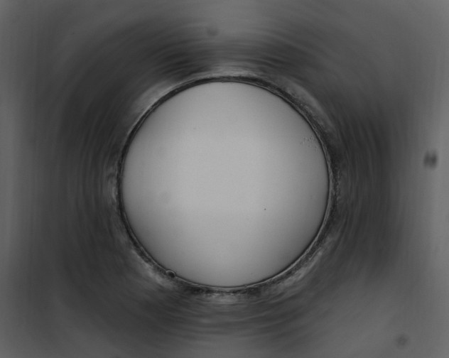 X0000101181177200807181441