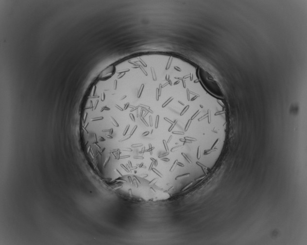 X0000101181179200807181440