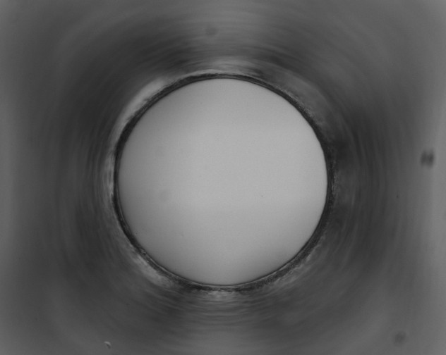 X0000101181180200807181440