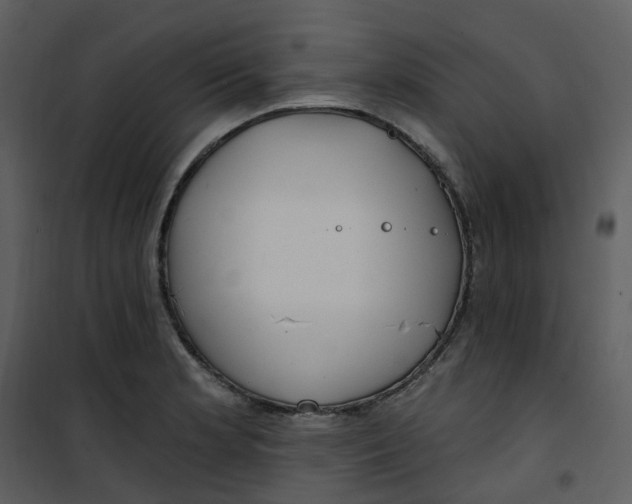 X0000101181181200807181440