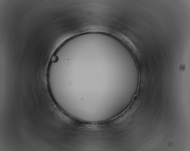 X0000101181182200807181440