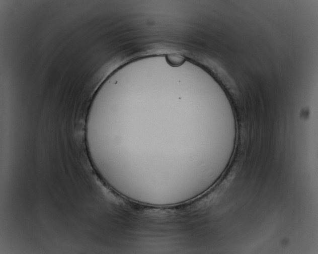 X0000101181185200807181440