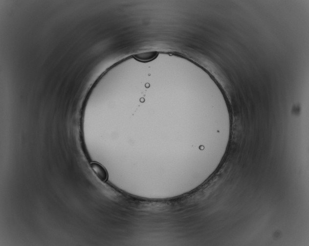 X0000101181187200807181440