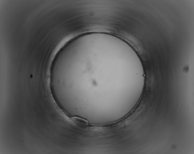 X0000101181188200807181440