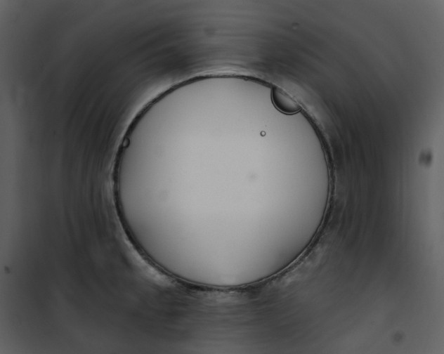 X0000101181189200807181440