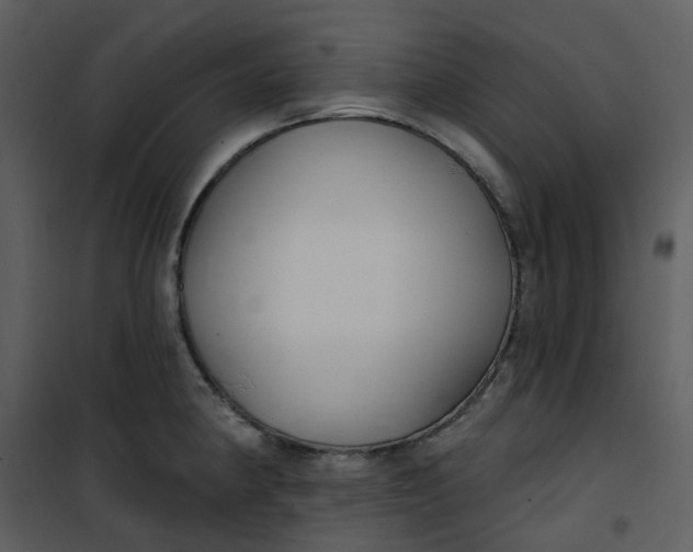 X0000101181190200807181440