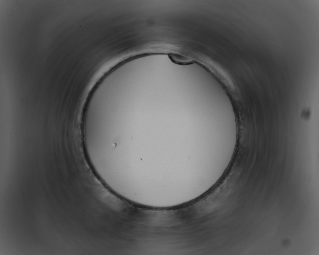 X0000101181192200807181440