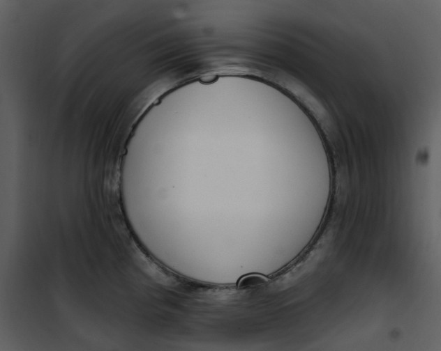 X0000101181193200807181440