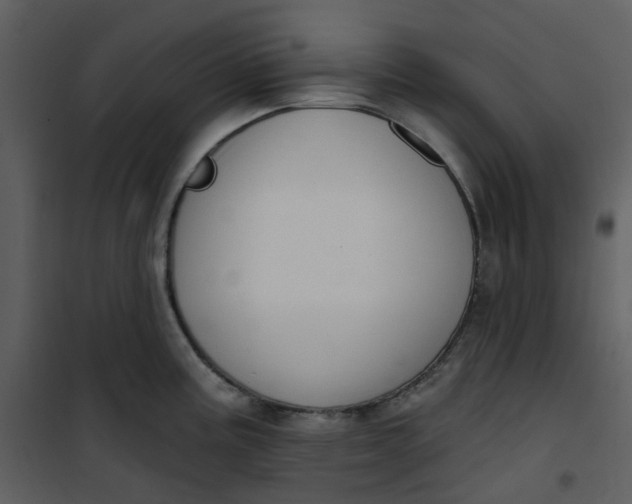 X0000101181195200807181440