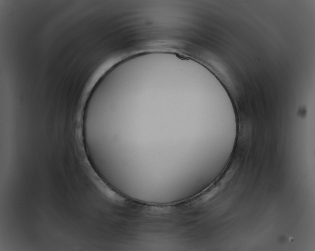 X0000101181196200807181440