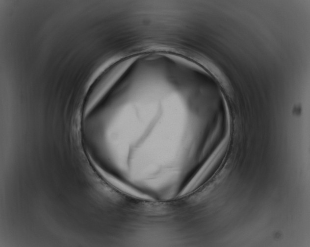 X0000101181198200807181440