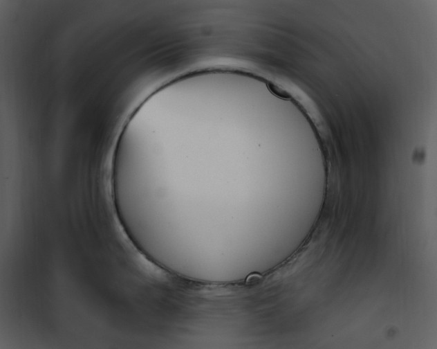 X0000101181199200807181440