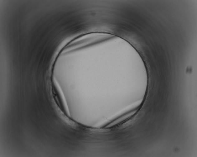 X0000101181200200807181440