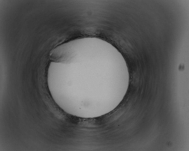 X0000101181201200807181440