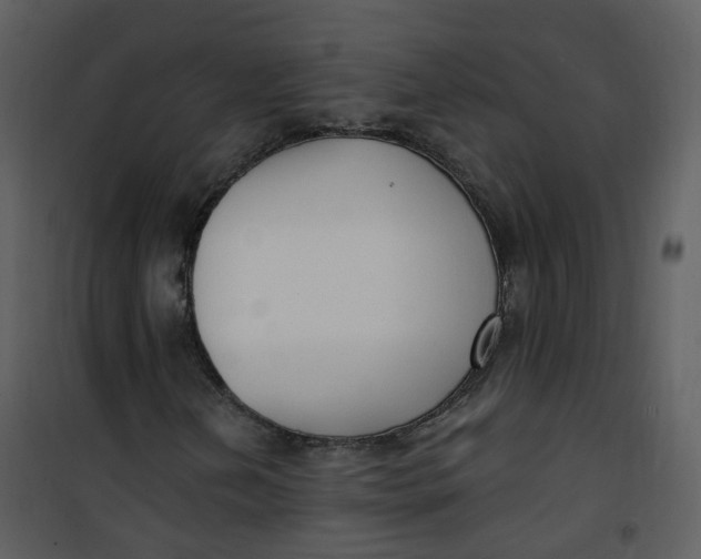 X0000101181202200807181440