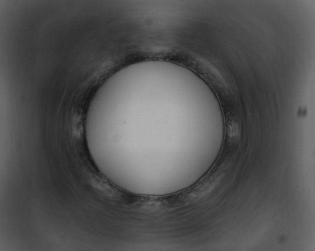 X0000101181204200807181440