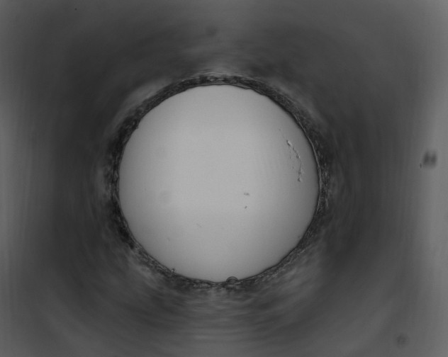 X0000101181207200807181440