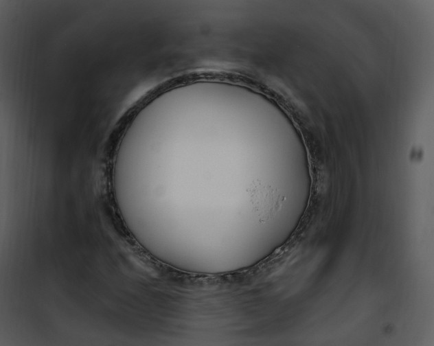 X0000101181208200807181440