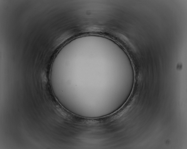 X0000101181209200807181440