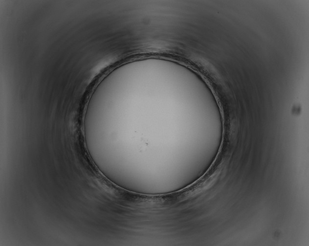 X0000101181210200807181440