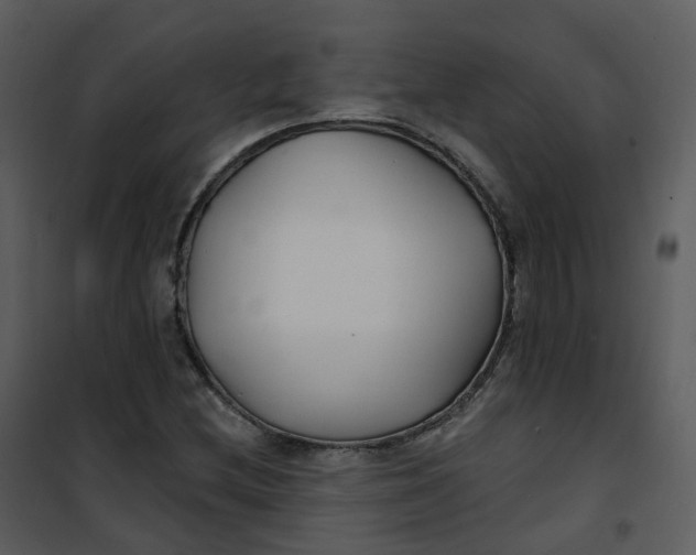 X0000101181212200807181440