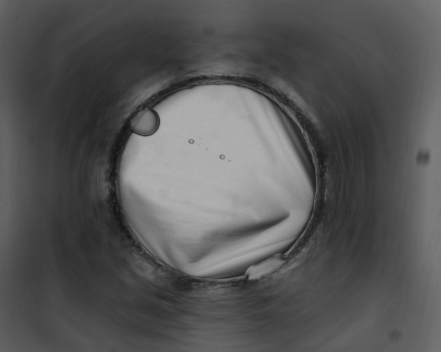 X0000101181213200807181440